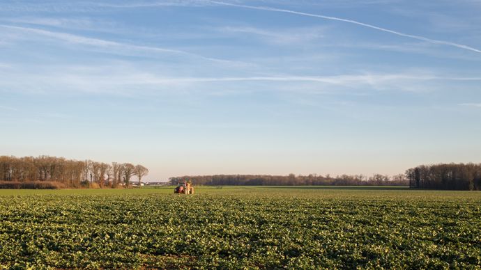 Les ventes de phytos conventionnels ont reculé en 2024, selon Phytéis