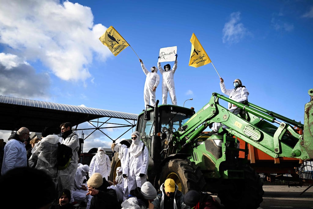 «Un coin dans ce système agrochimique qui empoisonne» : en Normandie, une usine BASF de pesticides mise à l’arrêt par des militants