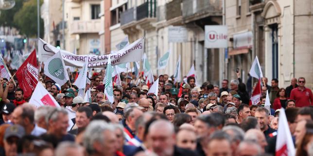 A Béziers, des viticulteurs « à bout » mais « déterminés » manifestent dans les rues