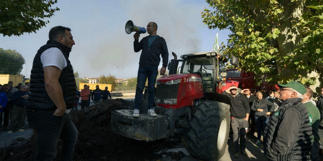 En crise, les viticulteurs demandent à arracher 35 000 hectares de vigne en France