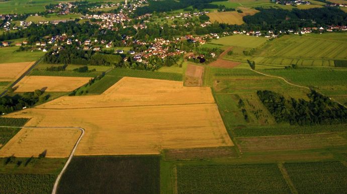 Que faire si mon bail rural n’est pas écrit ?