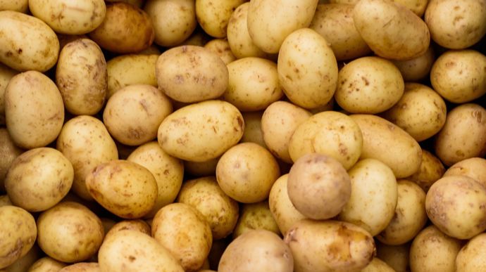 Chaque hectare planté en pomme de terre pour 2026 doit être « un choix maîtrisé »