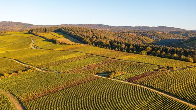 Souveraineté alimentaire et écologie sont-elles encore compatibles dans la Pac ?