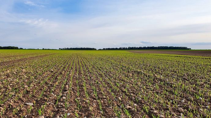 Rester vigilant vis-à-vis des insectes malgré l’arrivée du froid