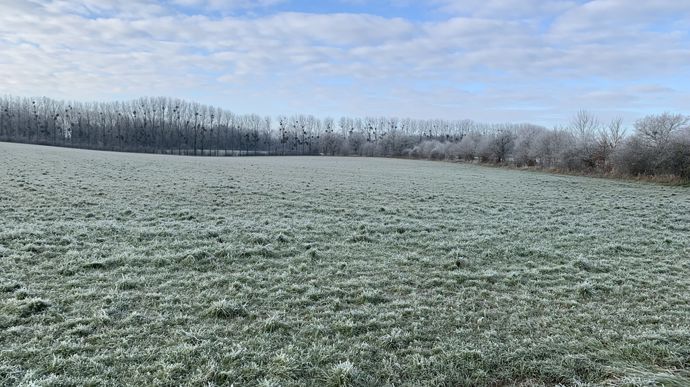 Le coup de froid en France est sous surveillance