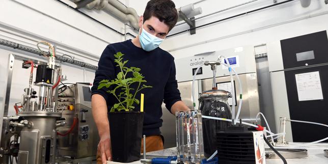 Face à la multiplication des scandales agroalimentaires, une génération d’étudiants désenchantée