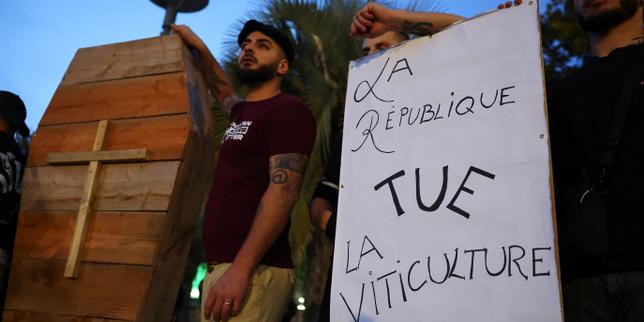 L’Etat dévoile un plan de sauvetage de la viticulture française en crise