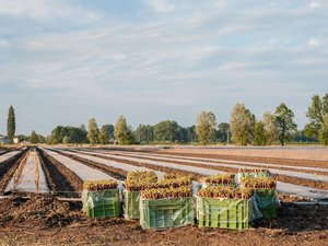 « Je le vis comme une trahison » : la femme du maire veut contraindre cet agriculteur à lui vendre ses terres