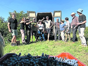 Dans l’Uzège, un vin nouveau local pour aider des paysans à s’installer