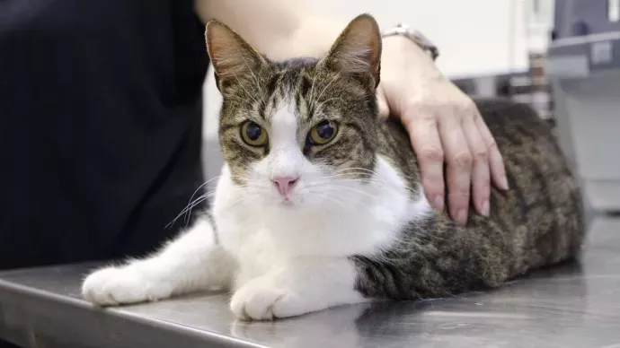 Appel à projets 2025 du plan Écoantibio 3 : les lauréats