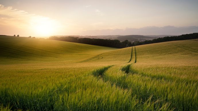 Rendements agricoles : la fin d’une époque ?