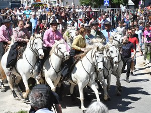 « Des accidents graves ou mortels » : après la dermatose nodulaire, les manadiers de nouveau confrontés à l’épineuse question des assurances
