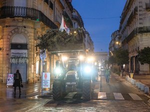 Colère des agriculteurs : de l’Arc de Triomphe à la préfecture, plusieurs dizaines d’entre eux bloquent l’accès au centre de Montpellier