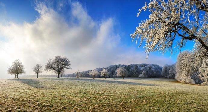 Un mois de décembre 2025 marqué par la douceur