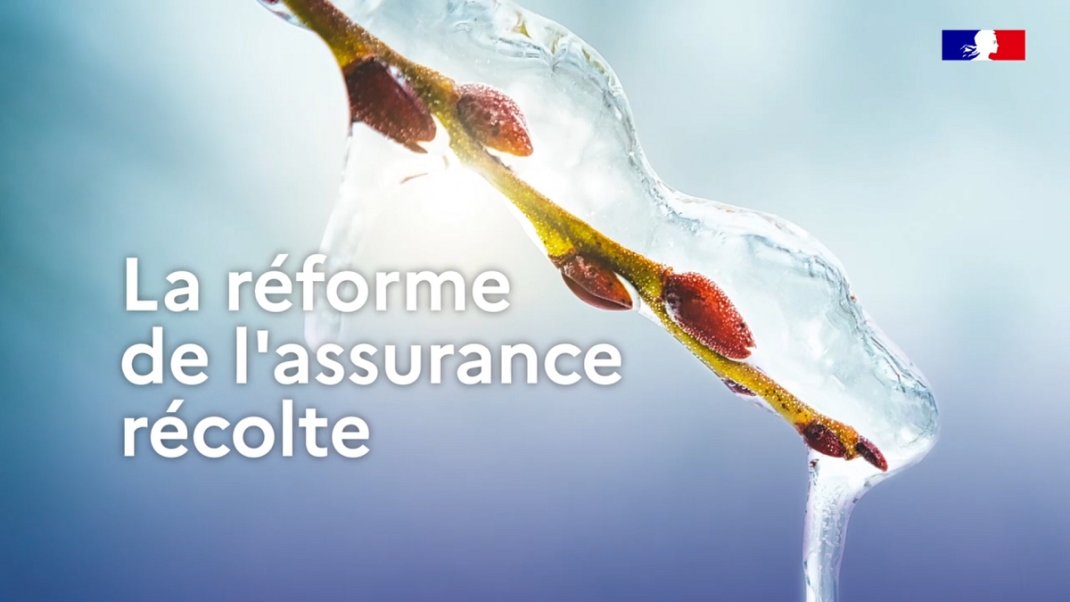 Animation – La réforme de l’assurance récolte