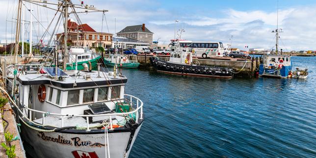 A Saint-Pierre-et-Miquelon, la pêche joue sa survie, loin du mythe des terre-neuvas