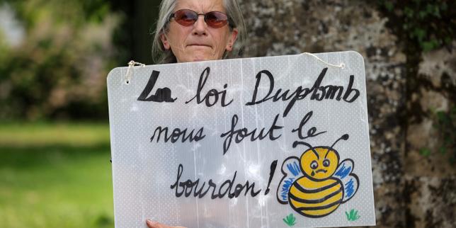 Contre les « lois Duplomb » visant à réintroduire des pesticides, des rassemblements annoncés partout en France ce week-end
