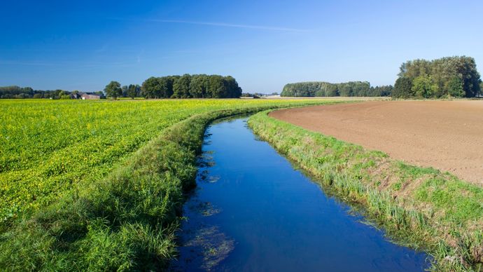 Les Écologistes veulent interdire les produits phytos autour des captages