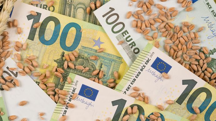 27 % des lecteurs ont engagé une partie de leur récolte 2026 de blé tendre