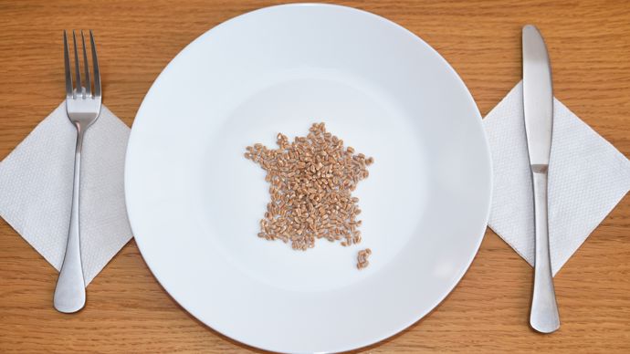 Un sursaut possible après l’effondrement avéré de la balance commerciale agricole ?