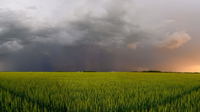 Agriculture française : marchés sous pression en 2025 et fortes incertitudes en 2026