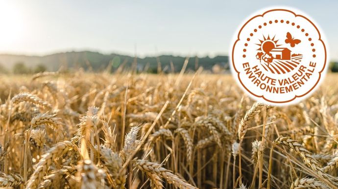 HVE : un recul de la démarche chez les céréaliers