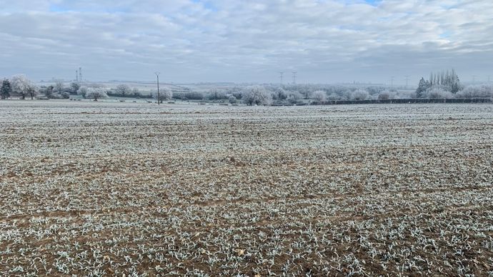 Un excédent de précipitations de 56 % en moyenne en janvier 2026 !