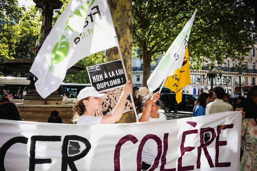 «Il y a un moment où il faut arrêter de bourriner» : les critiques s’élèvent à gauche et au centre contre le retour de la loi Duplomb