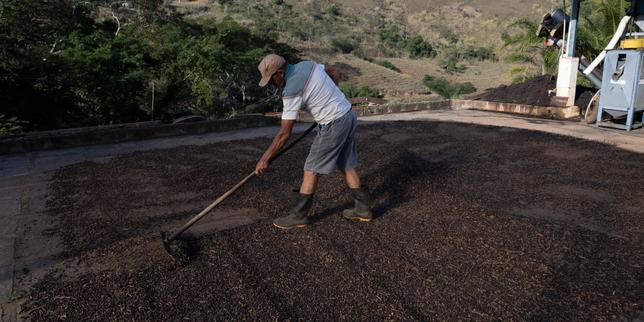 La balance commerciale agroalimentaire française décroche massivement mais reste dans le vert en 2025