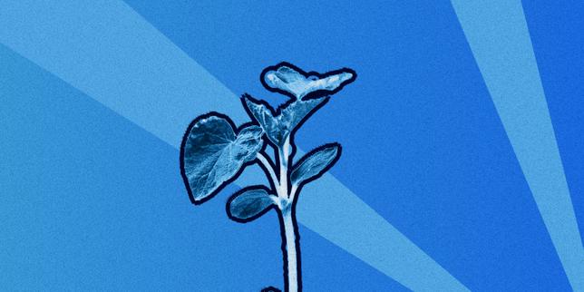 Agriculture : « Nous, médecins et scientifiques, alertons sur le décalage croissant entre l’état de la science et la fabrique de la loi »