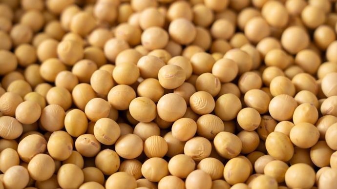 La poussée haussière du soja s’épuise à Chicago