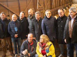Les brebis seront les stars du stand de l’Aveyron au salon de l’agriculture