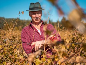 Salon de l’agriculture 2026 : le Gard aura bien son stand, « ce serait une erreur de ne pas y être »